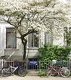 Viertel